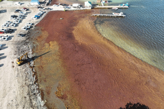 Image capturé le 3 février dernier par un drone (Souali drone) de la Baie de Cul de Sac